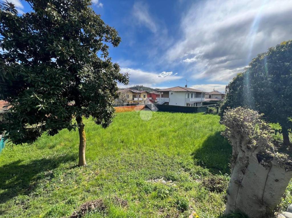 immagine annuncio 1 di 8