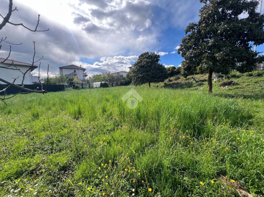 immagine annuncio 2 di 8