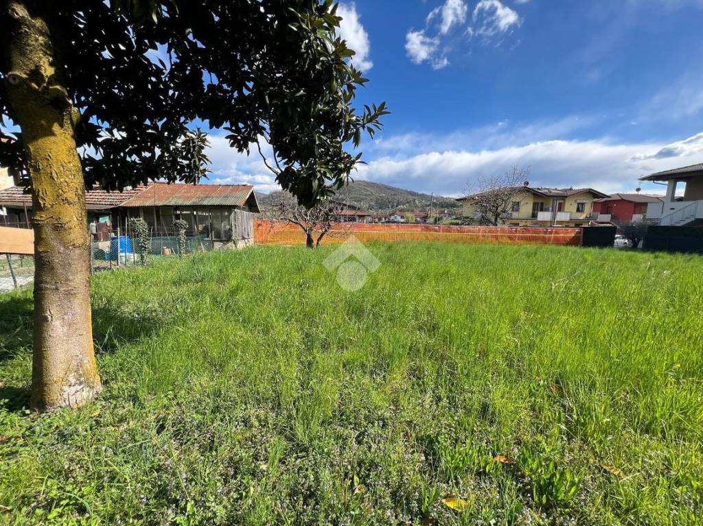 immagine annuncio 3 di 8