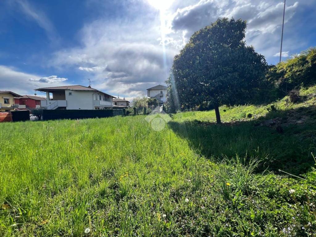 immagine annuncio 4 di 8