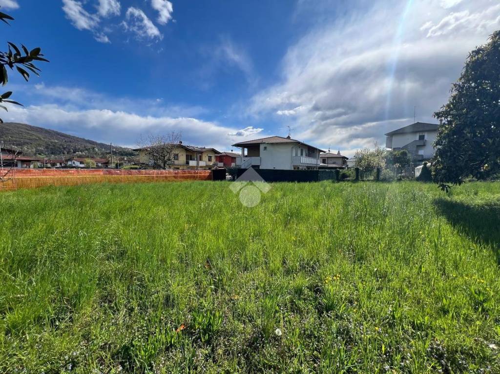 immagine annuncio 5 di 8