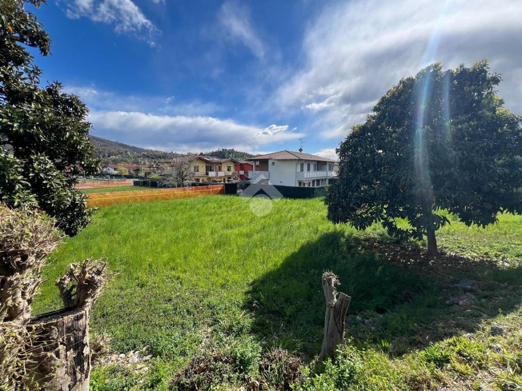 immagine annuncio 6 di 8