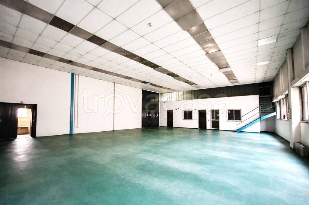 immagine annuncio 1 di 9