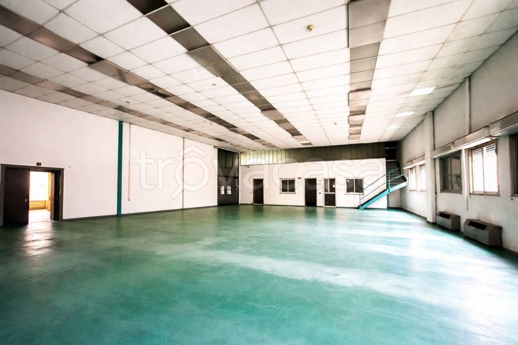 immagine annuncio 2 di 9