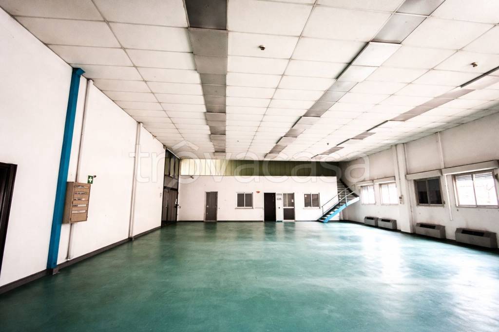 immagine annuncio 4 di 9