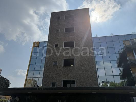 immagine annuncio 10 di 12