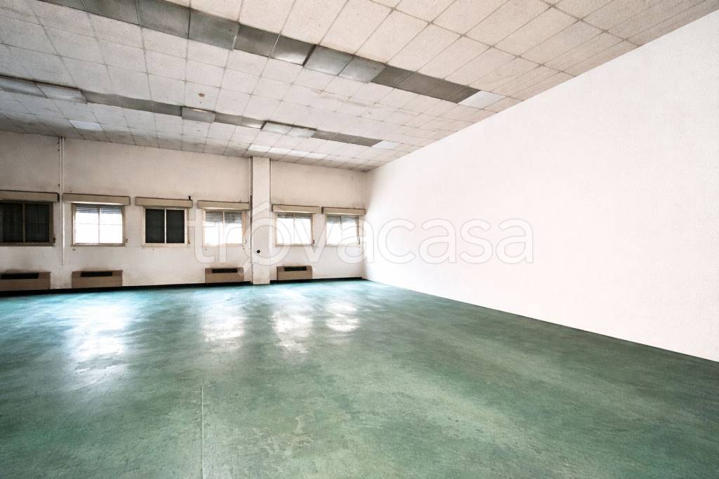 immagine annuncio 3 di 9