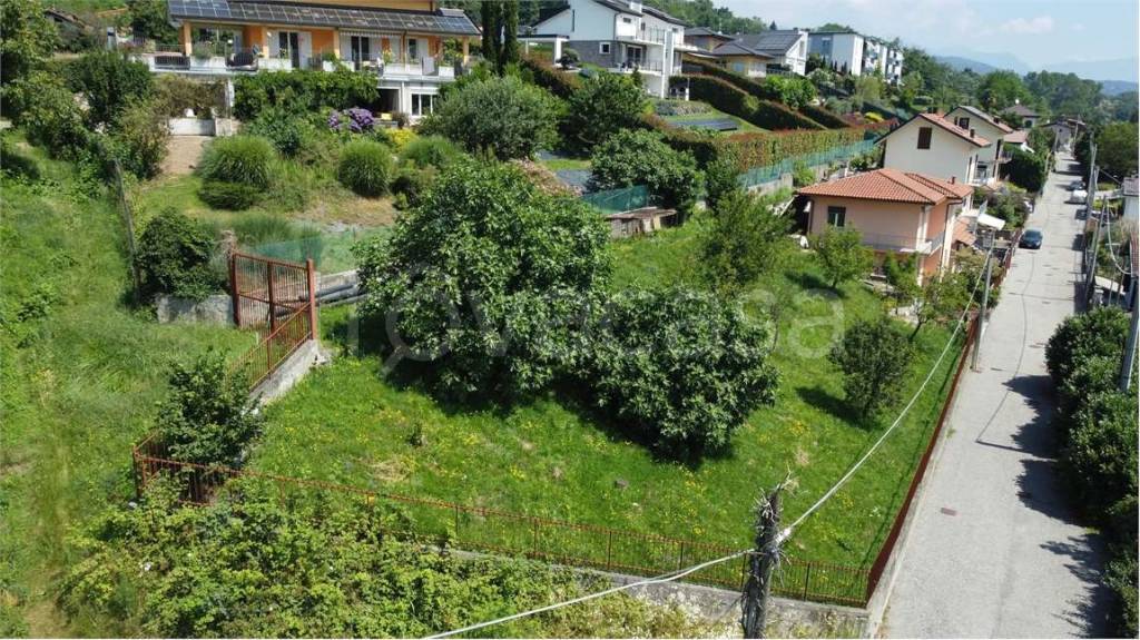 immagine annuncio 5 di 6