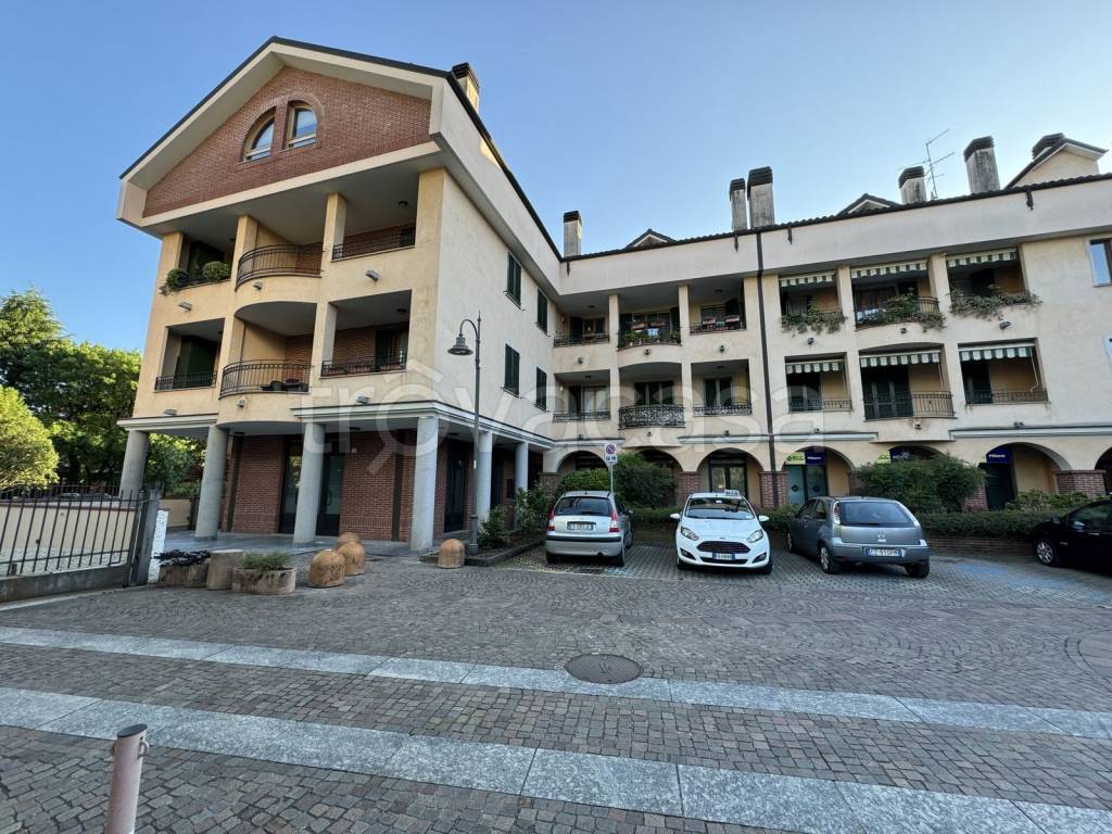 immagine annuncio 3 di 15