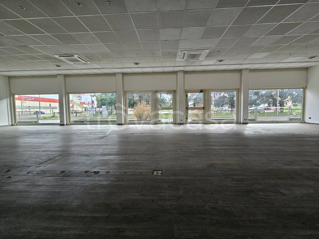 immagine annuncio 9 di 13