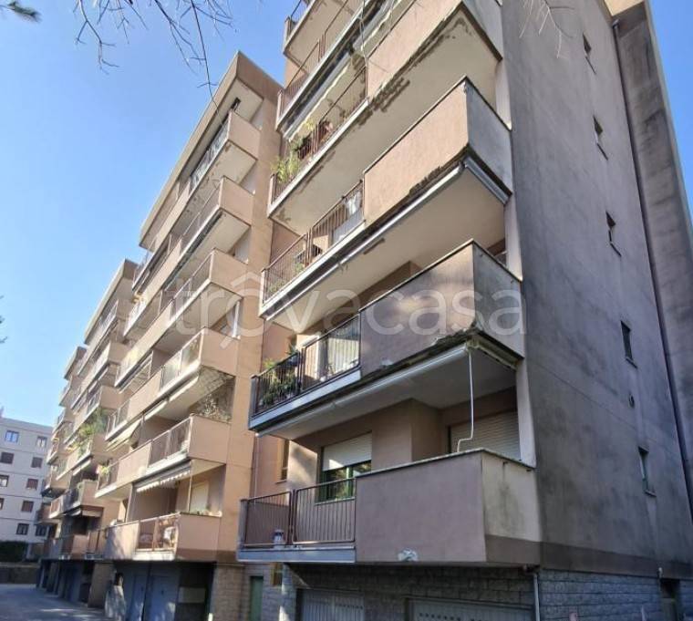 immagine annuncio 2 di 12