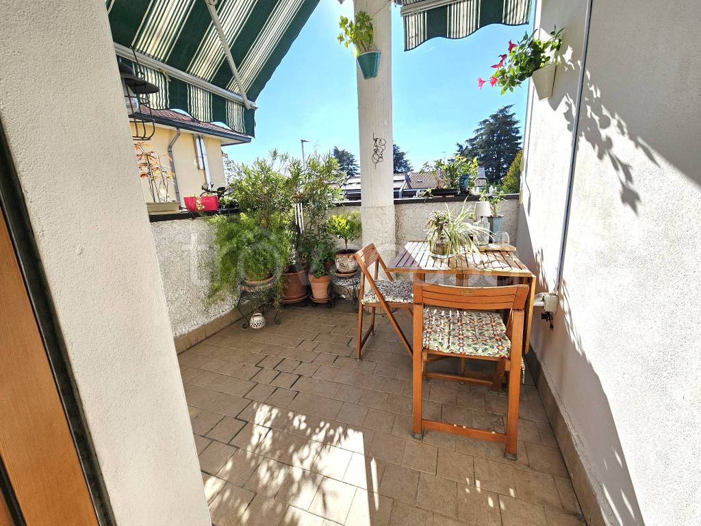 immagine annuncio 13 di 15