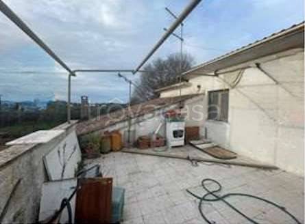 immagine annuncio 9 di 14