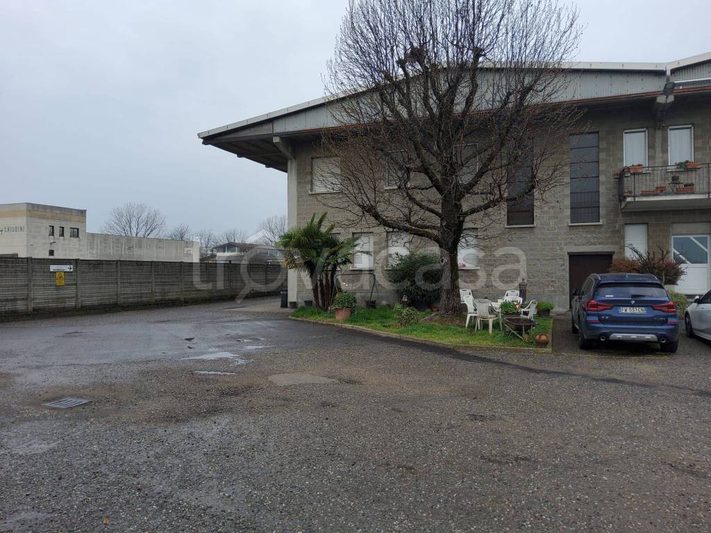 immagine annuncio 12 di 13