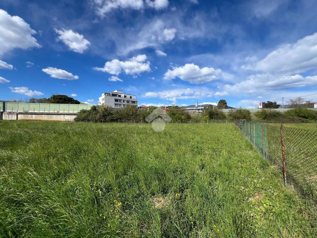 immagine annuncio 1 di 14