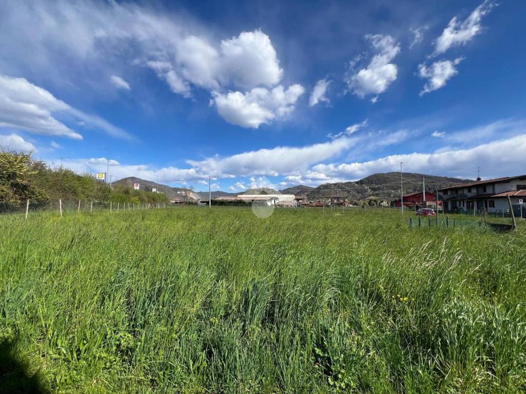 immagine annuncio 3 di 14