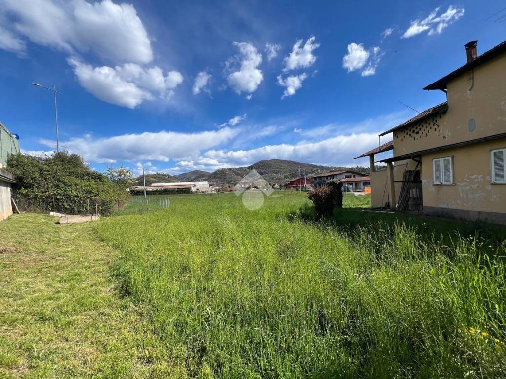 immagine annuncio 5 di 14