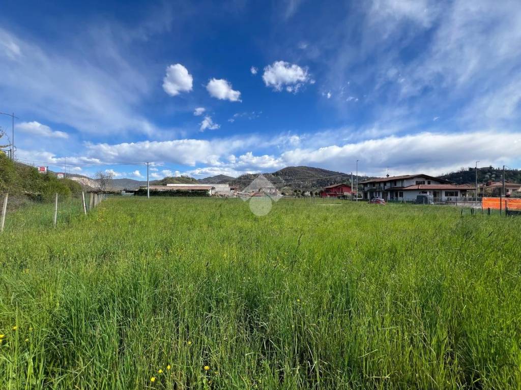 immagine annuncio 8 di 14