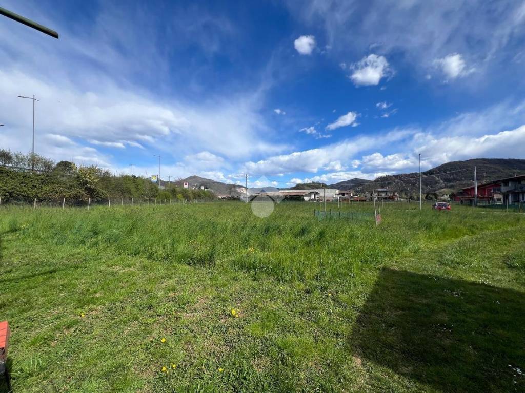 immagine annuncio 10 di 14