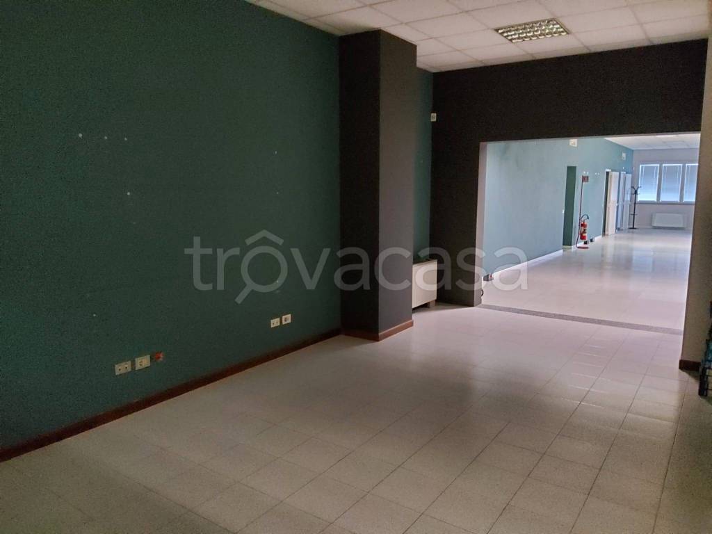 immagine annuncio 5 di 13