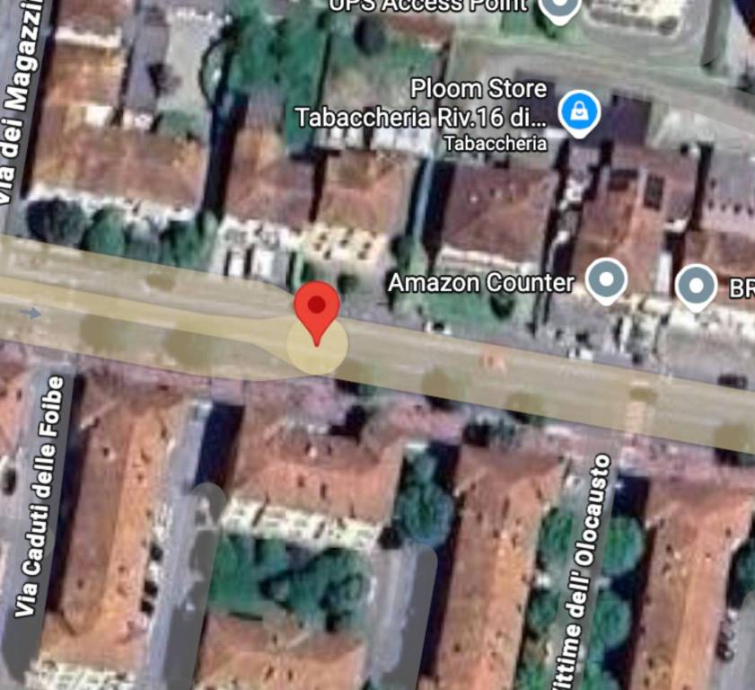 immagine annuncio 6 di 10