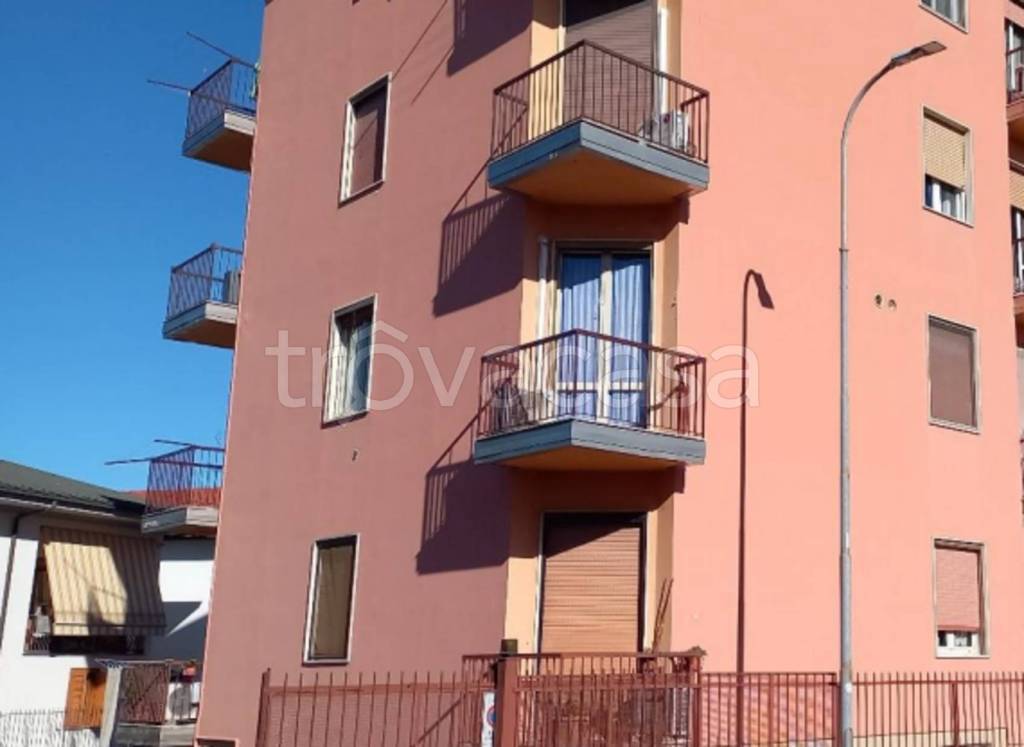 immagine annuncio 5 di 14