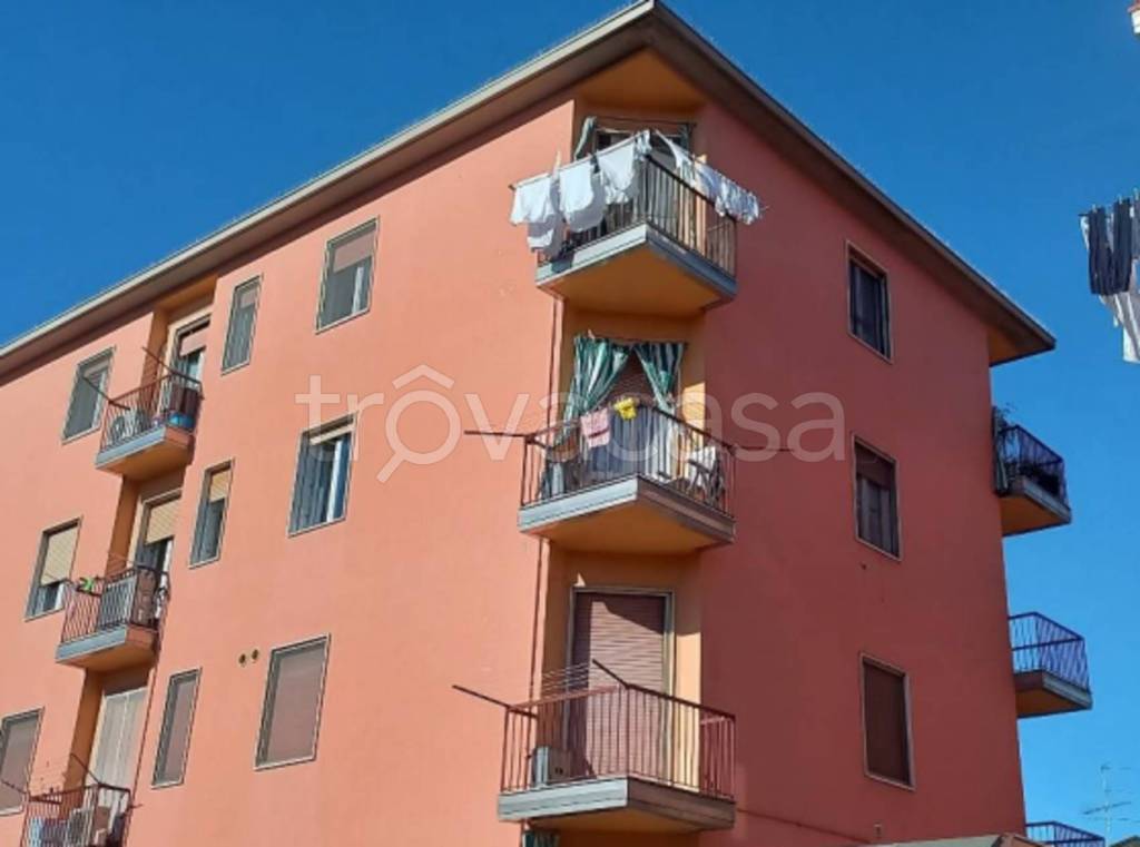 immagine annuncio 7 di 14