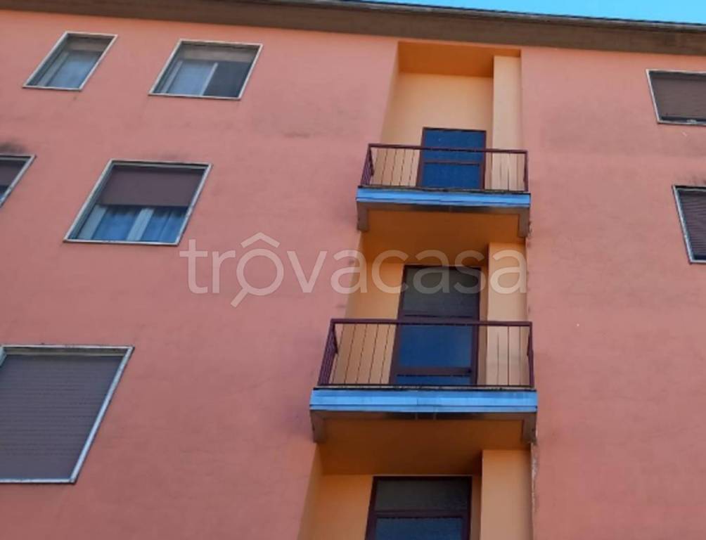 immagine annuncio 9 di 14