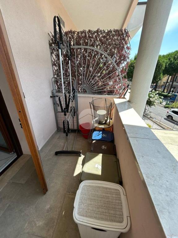 immagine annuncio 7 di 9