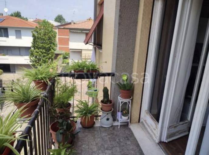 immagine annuncio 4 di 13