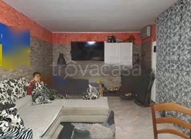 immagine annuncio 2 di 7