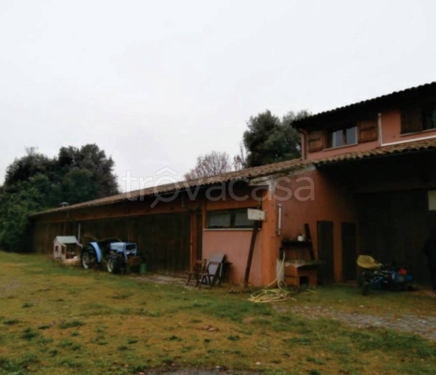 immagine annuncio 4 di 11