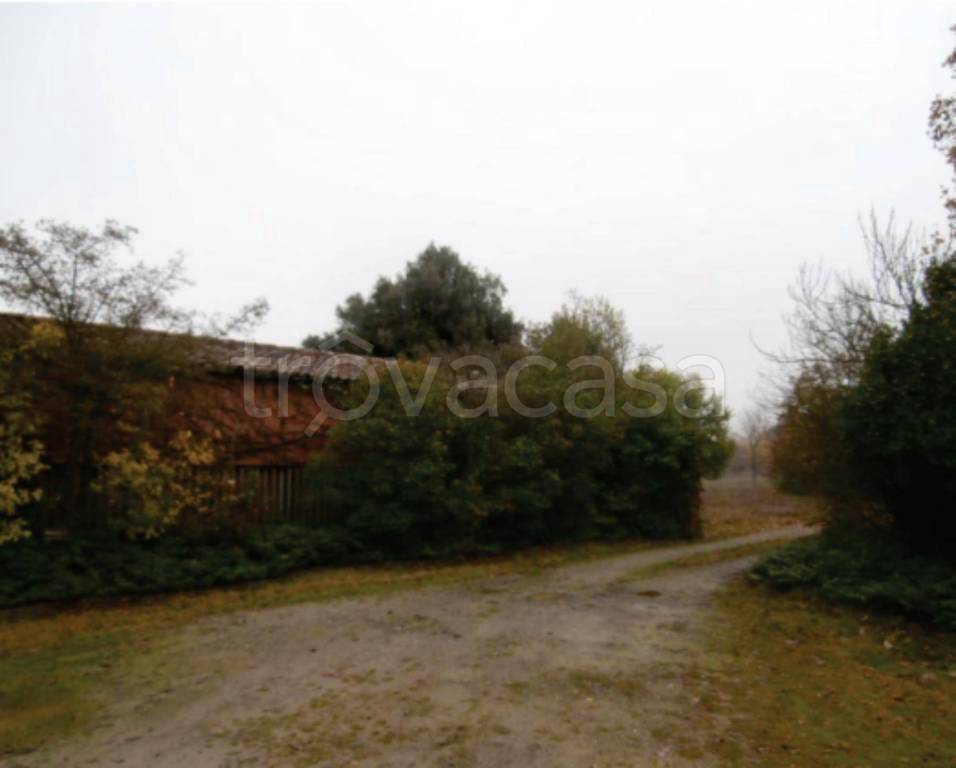 immagine annuncio 7 di 11