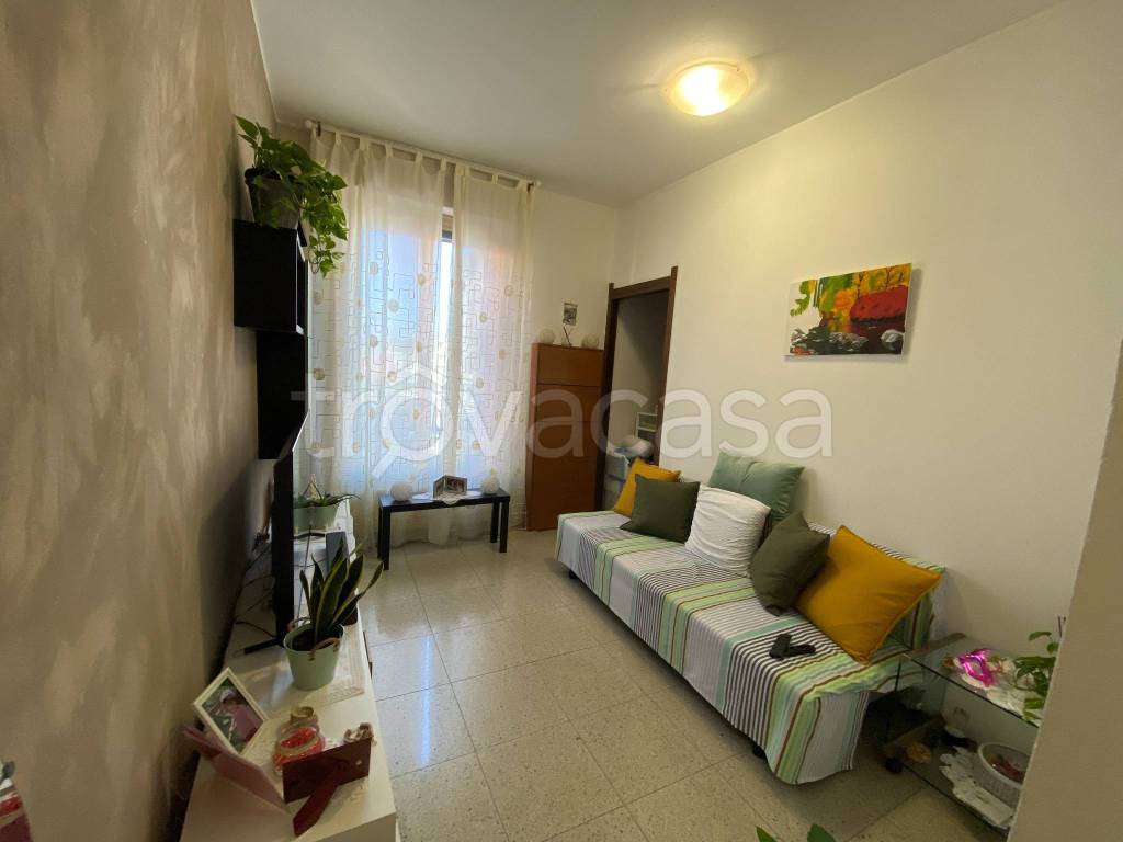 immagine annuncio 3 di 13