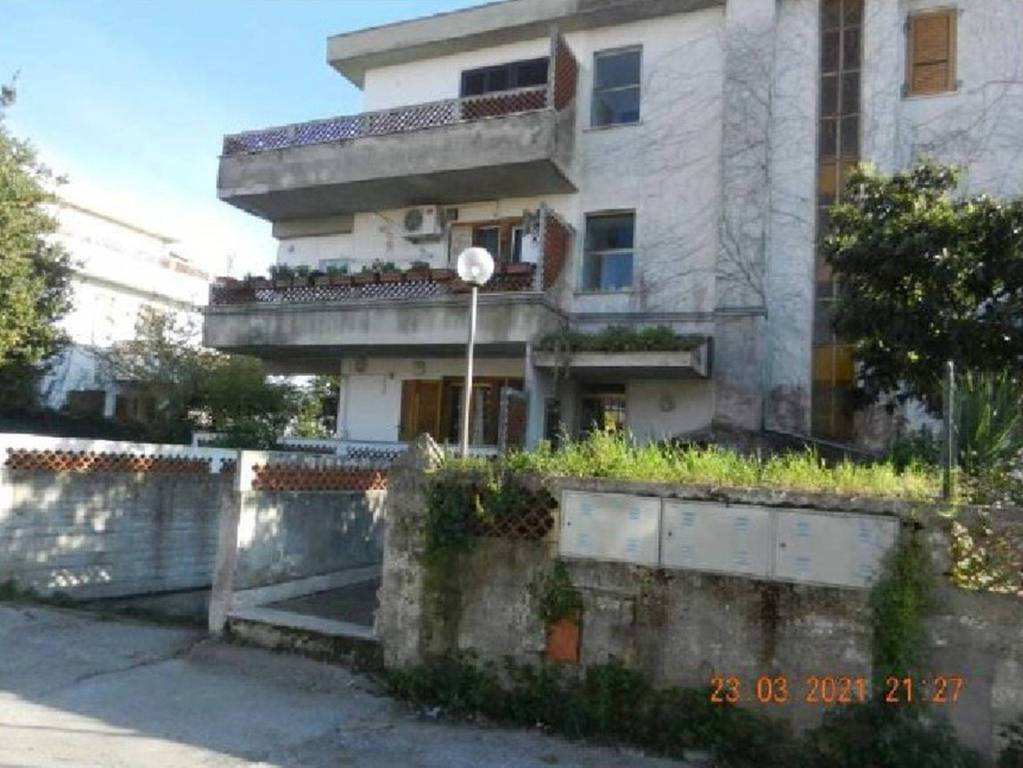 immagine annuncio 11 di 14