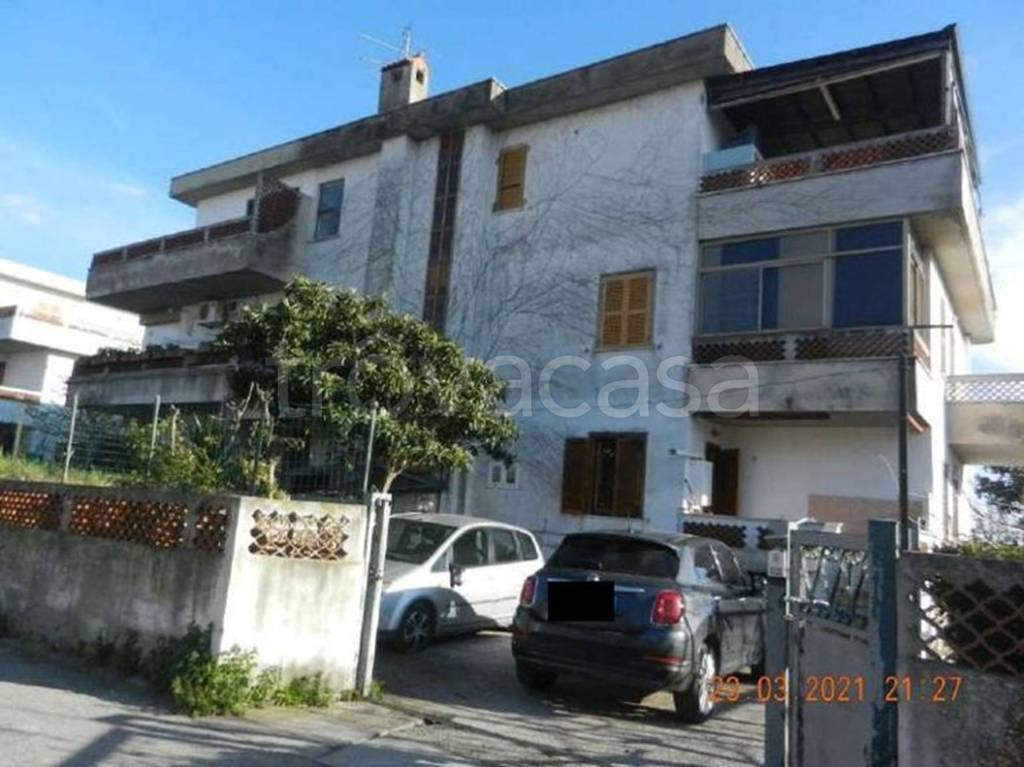 immagine annuncio 12 di 14