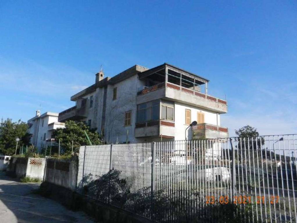 immagine annuncio 13 di 14