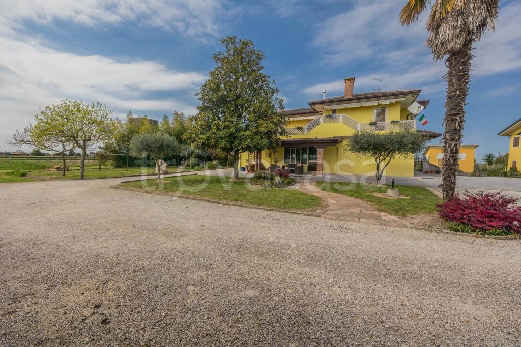 immagine annuncio 12 di 15