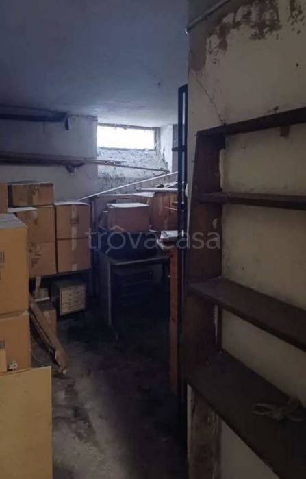 immagine annuncio 11 di 14