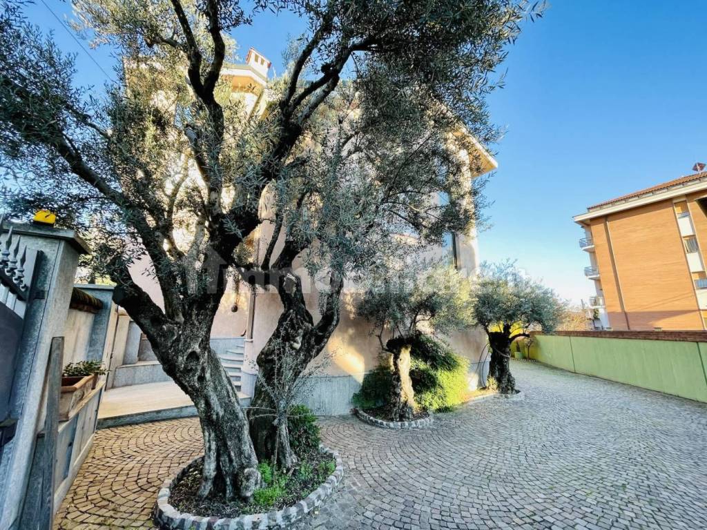 immagine annuncio 1 di 15