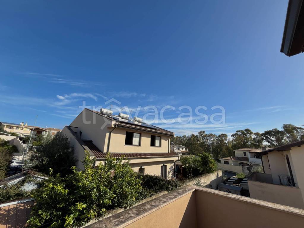 immagine annuncio 11 di 14