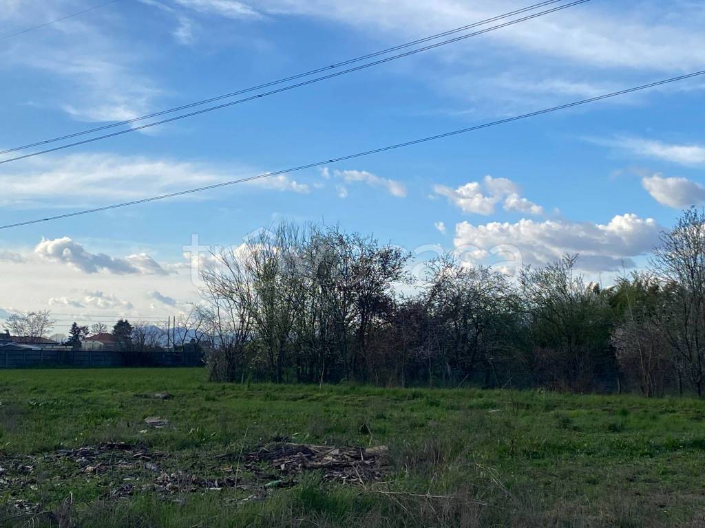 immagine annuncio 11 di 12