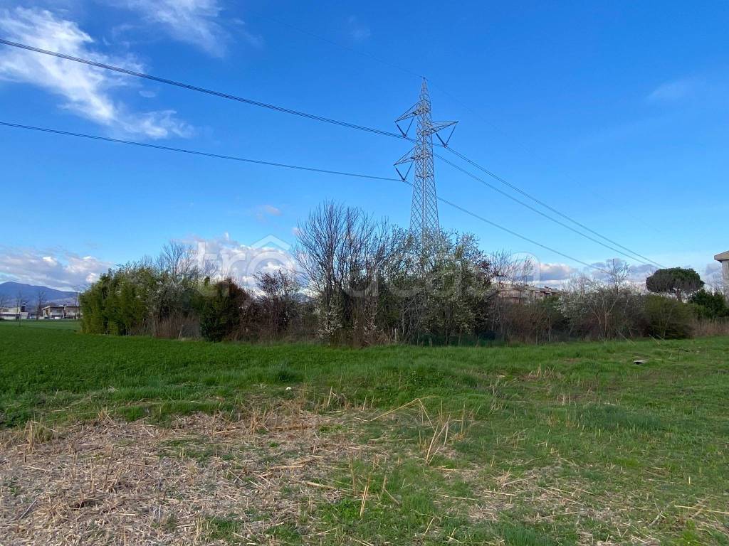 immagine annuncio 2 di 12