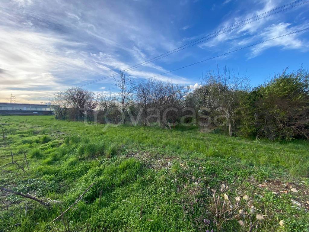 immagine annuncio 3 di 12