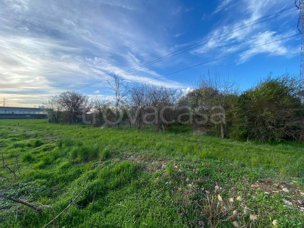 immagine annuncio 4 di 12