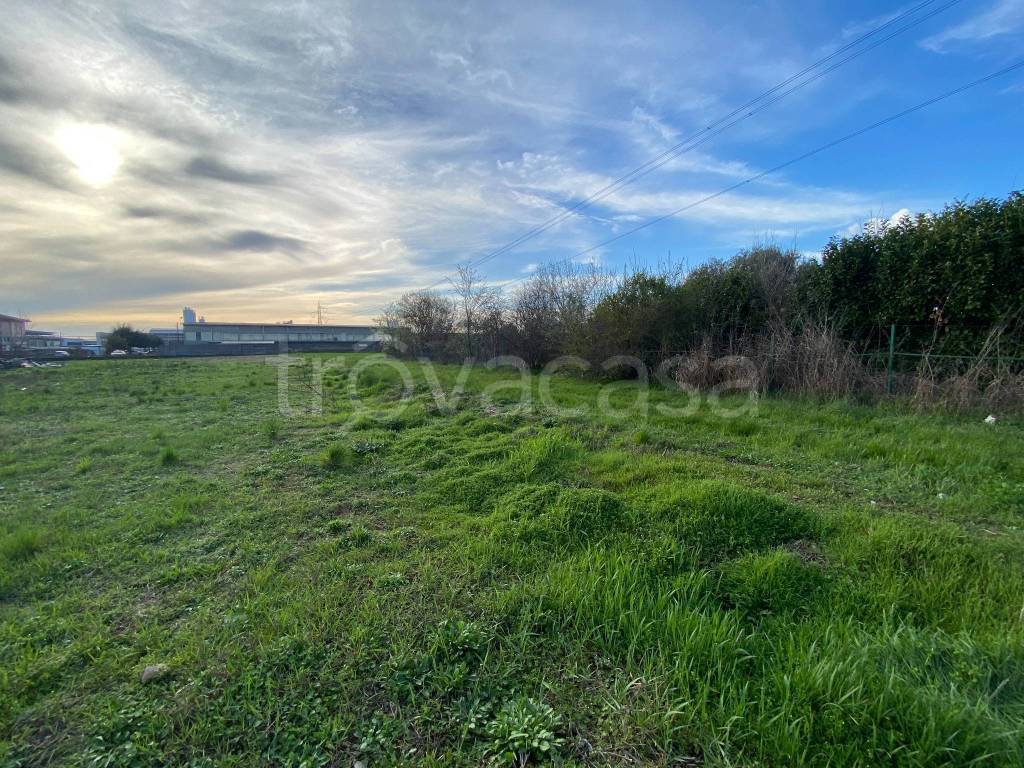 immagine annuncio 5 di 12