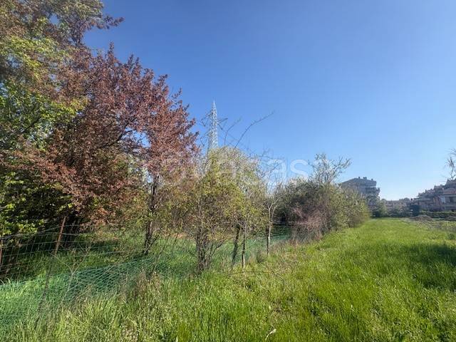 immagine annuncio 7 di 12