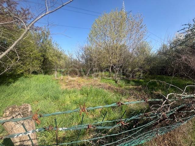 immagine annuncio 8 di 12