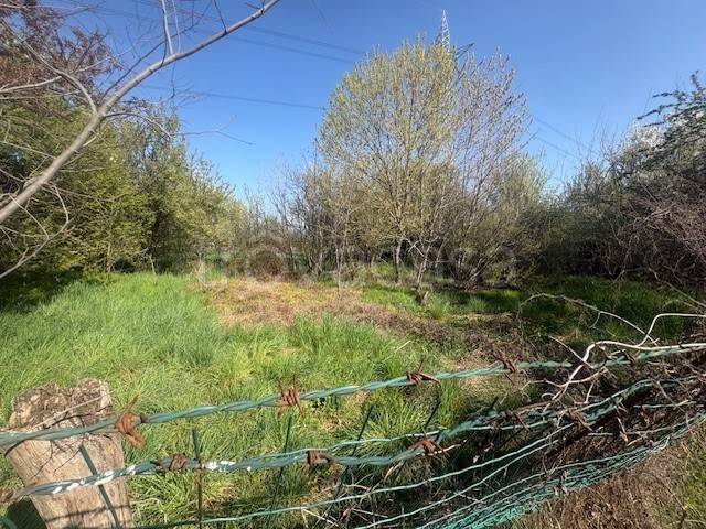 immagine annuncio 9 di 12