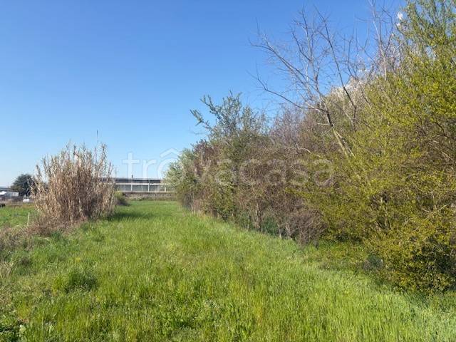 immagine annuncio 10 di 12